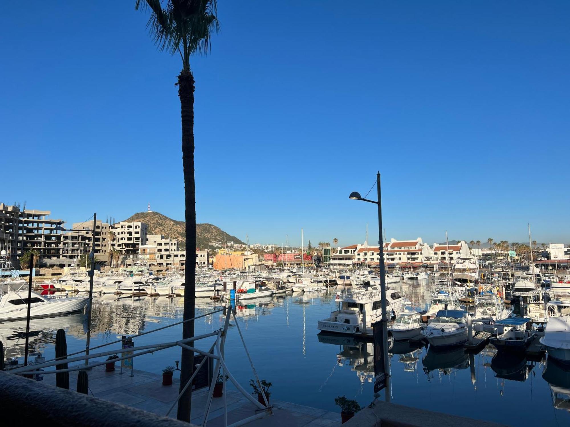 Cabowilson Lägenhet Cabo San Lucas Exteriör bild